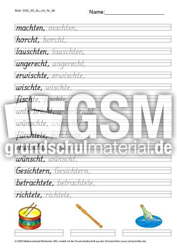 DSS_2S_Bu_cht_Nr_08.pdf